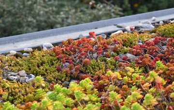 the cost of Edwalton green roof installation