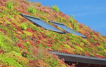 Edwalton living roof systems